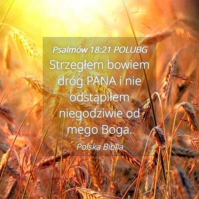 Picture 04 - Psalmów 18:21 POLUBG - Strzegłem bowiem dróg PANA i nie odstąpiłem - Bible Verse Picture