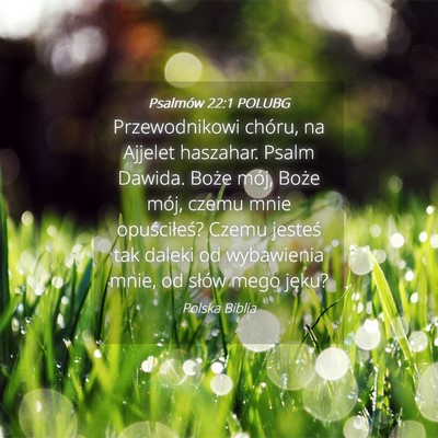 Picture 04 - Psalmów 22:1 POLUBG - Przewodnikowi chóru, na Ajjelet haszahar. Psalm - Bible Verse Picture