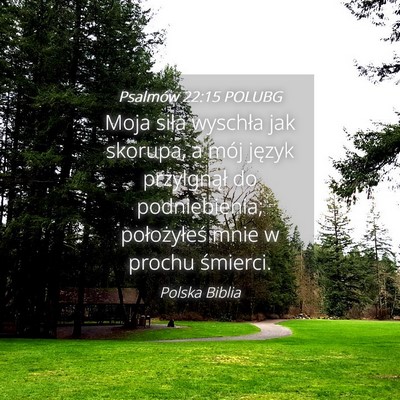 Picture 04 - Psalmów 22:15 POLUBG - Moja siła wyschła jak skorupa, a mój język - Bible Verse Picture