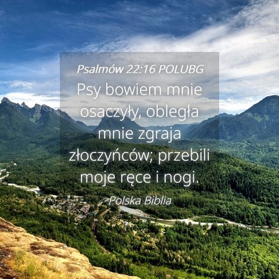 Picture 04 - Psalmów 22:16 POLUBG - Psy bowiem mnie osaczyły, obległa mnie zgraja - Bible Verse Picture