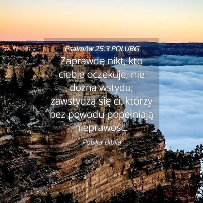 Picture 04 - Psalmów 25:3 POLUBG - Zaprawdę nikt, kto ciebie oczekuje, nie dozna - Bible Verse Picture