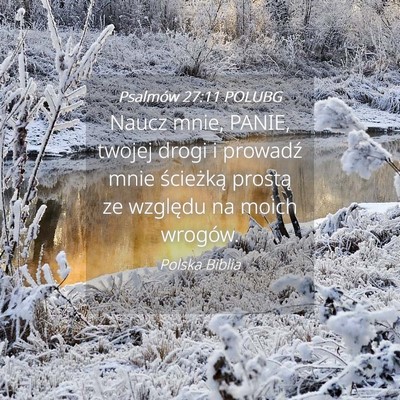 Picture 04 - Psalmów 27:11 POLUBG - Naucz mnie, PANIE, twojej drogi i prowadź mnie - Bible Verse Picture