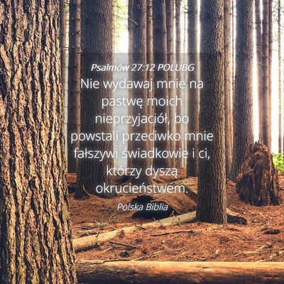Picture 04 - Psalmów 27:12 POLUBG - Nie wydawaj mnie na pastwę moich - Bible Verse Picture