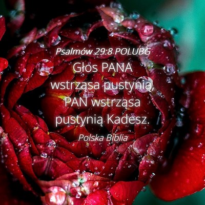 Picture 04 - Psalmów 29:8 POLUBG - Głos PANA wstrząsa pustynią, PAN wstrząsa - Bible Verse Picture