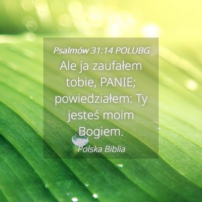 Picture 04 - Psalmów 31:14 POLUBG - Ale ja zaufałem tobie, PANIE; powiedziałem: Ty - Bible Verse Picture