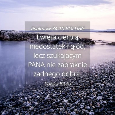 Picture 04 - Psalmów 34:10 POLUBG - Lwięta cierpią niedostatek i głód, lecz - Bible Verse Picture