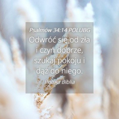 Picture 04 - Psalmów 34:14 POLUBG - Odwróć się od zła i czyń dobrze, szukaj - Bible Verse Picture