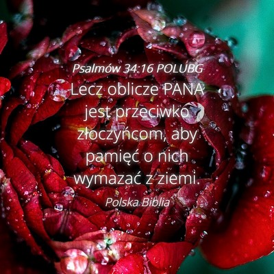 Picture 04 - Psalmów 34:16 POLUBG - Lecz oblicze PANA jest przeciwko złoczyńcom, - Bible Verse Picture
