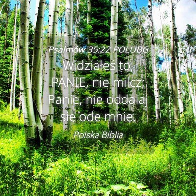 Picture 04 - Psalmów 35:22 POLUBG - Widziałeś to, PANIE, nie milcz; Panie, nie - Bible Verse Picture
