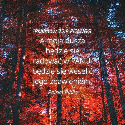 Picture 04 - Psalmów 35:9 POLUBG - A moja dusza będzie się radować w PANU, - Bible Verse Picture