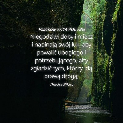Picture 04 - Psalmów 37:14 POLUBG - Niegodziwi dobyli miecz i napinają swój łuk, - Bible Verse Picture