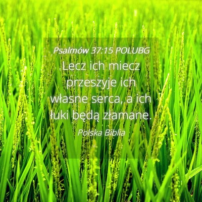 Picture 04 - Psalmów 37:15 POLUBG - Lecz ich miecz przeszyje ich własne serca, a ich - Bible Verse Picture