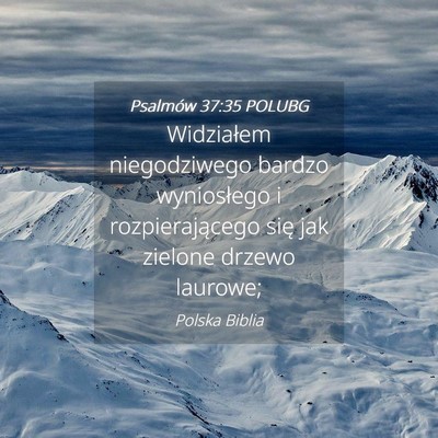 Picture 04 - Psalmów 37:35 POLUBG - Widziałem niegodziwego bardzo wyniosłego i - Bible Verse Picture