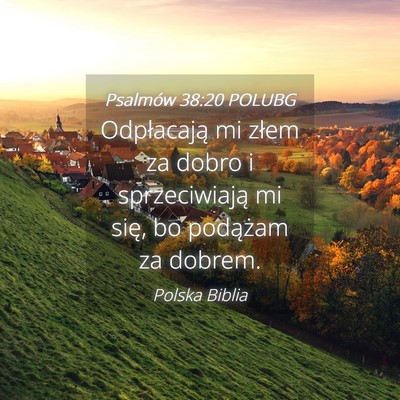 Picture 04 - Psalmów 38:20 POLUBG - Odpłacają mi złem za dobro i sprzeciwiają mi - Bible Verse Picture