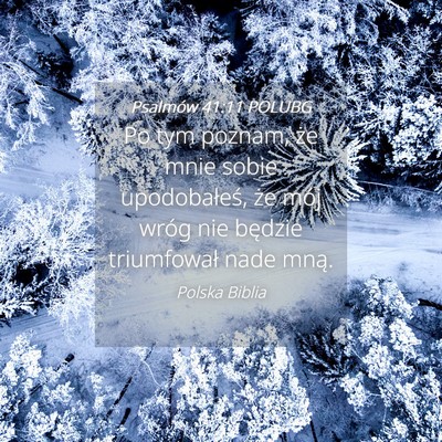Picture 04 - Psalmów 41:11 POLUBG - Po tym poznam, że mnie sobie upodobałeś, że - Bible Verse Picture