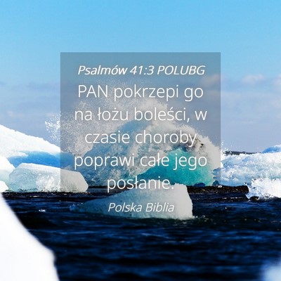 Picture 04 - Psalmów 41:3 POLUBG - PAN pokrzepi go na łożu boleści, w czasie - Bible Verse Picture
