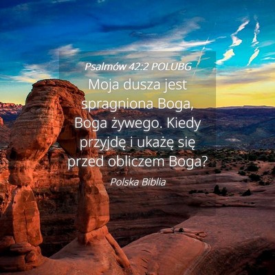 Picture 04 - Psalmów 42:2 POLUBG - Moja dusza jest spragniona Boga, Boga żywego. - Bible Verse Picture