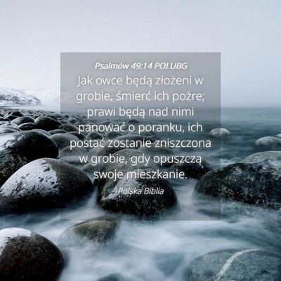 Picture 04 - Psalmów 49:14 POLUBG - Jak owce będą złożeni w grobie, śmierć ich - Bible Verse Picture