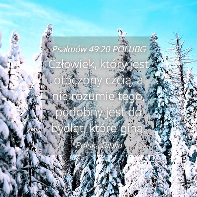 Picture 04 - Psalmów 49:20 POLUBG - Człowiek, który jest otoczony czcią, a nie - Bible Verse Picture