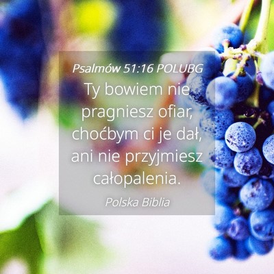 Picture 04 - Psalmów 51:16 POLUBG - Ty bowiem nie pragniesz ofiar, choćbym ci je - Bible Verse Picture