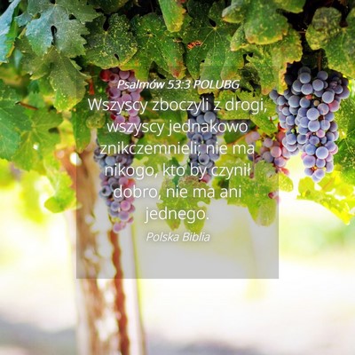 Picture 04 - Psalmów 53:3 POLUBG - Wszyscy zboczyli z drogi, wszyscy jednakowo - Bible Verse Picture