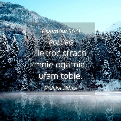 Picture 04 - Psalmów 56:3 POLUBG - Ilekroć strach mnie ogarnia, ufam - Bible Verse Picture