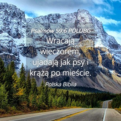 Picture 04 - Psalmów 59:6 POLUBG - Wracają wieczorem, ujadają jak psy i krążą - Bible Verse Picture