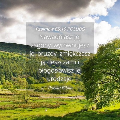Picture 04 - Psalmów 65:10 POLUBG - Nawadniasz jej zagony, wyrównujesz jej bruzdy, - Bible Verse Picture