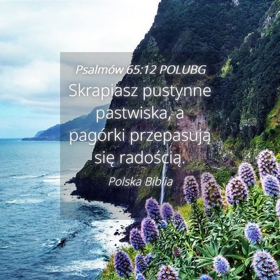 Picture 04 - Psalmów 65:12 POLUBG - Skrapiasz pustynne pastwiska, a pagórki - Bible Verse Picture