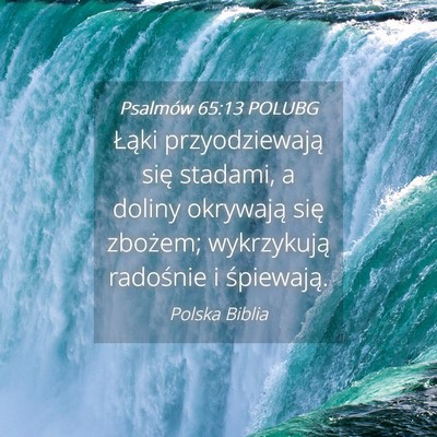 Picture 04 - Psalmów 65:13 POLUBG - Łąki przyodziewają się stadami, a doliny - Bible Verse Picture
