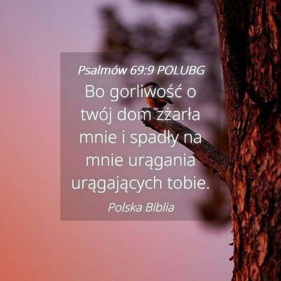 Picture 04 - Psalmów 69:9 POLUBG - Bo gorliwość o twój dom zżarła mnie i - Bible Verse Picture