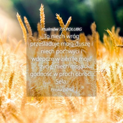 Picture 04 - Psalmów 7:5 POLUBG - To niech wróg prześladuje moją duszę i niech - Bible Verse Picture