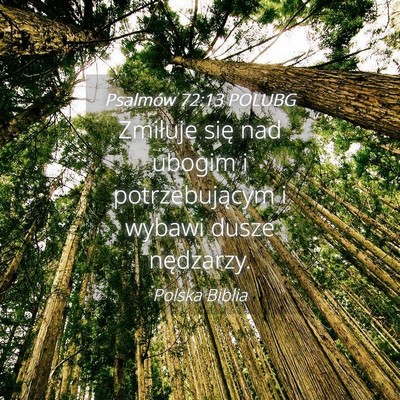 Picture 04 - Psalmów 72:13 POLUBG - Zmiłuje się nad ubogim i potrzebującym i - Bible Verse Picture