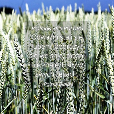 Picture 04 - Psalmów 76:5 POLUBG - Odważni stali się łupem, pogrążyli się we - Bible Verse Picture