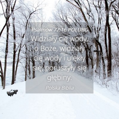 Picture 04 - Psalmów 77:16 POLUBG - Widziały cię wody, o Boże, widziały cię wody - Bible Verse Picture