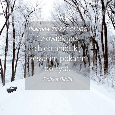 Picture 04 - Psalmów 78:25 POLUBG - Człowiek jadł chleb anielski; zesłał im - Bible Verse Picture