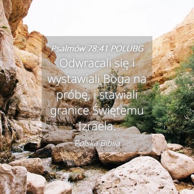 Picture 04 - Psalmów 78:41 POLUBG - Odwracali się i wystawiali Boga na próbę, i - Bible Verse Picture