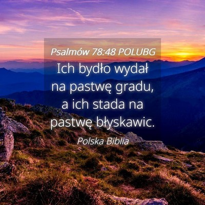 Picture 04 - Psalmów 78:48 POLUBG - Ich bydło wydał na pastwę gradu, a ich stada - Bible Verse Picture