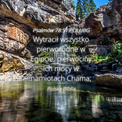 Picture 04 - Psalmów 78:51 POLUBG - Wytracił wszystko pierworodne w Egipcie, - Bible Verse Picture