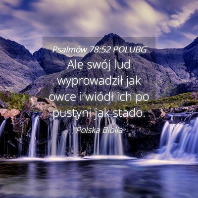 Picture 04 - Psalmów 78:52 POLUBG - Ale swój lud wyprowadził jak owce i wiódł ich - Bible Verse Picture