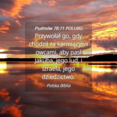 Picture 04 - Psalmów 78:71 POLUBG - Przywołał go, gdy chodził za karmiącymi - Bible Verse Picture