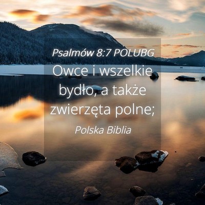 Picture 04 - Psalmów 8:7 POLUBG - Owce i wszelkie bydło, a także zwierzęta - Bible Verse Picture