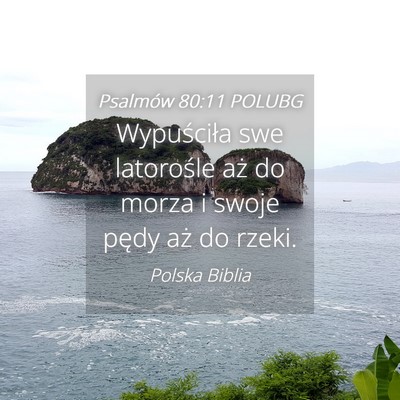 Picture 04 - Psalmów 80:11 POLUBG - Wypuściła swe latorośle aż do morza i swoje - Bible Verse Picture