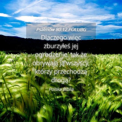 Picture 04 - Psalmów 80:12 POLUBG - Dlaczego więc zburzyłeś jej ogrodzenie, tak - Bible Verse Picture