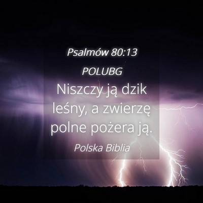 Picture 04 - Psalmów 80:13 POLUBG - Niszczy ją dzik leśny, a zwierzę polne pożera - Bible Verse Picture