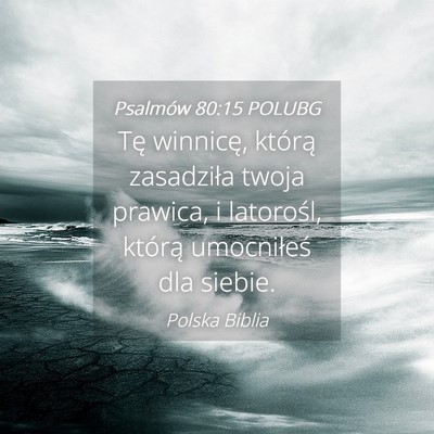 Picture 04 - Psalmów 80:15 POLUBG - Tę winnicę, którą zasadziła twoja prawica, i - Bible Verse Picture