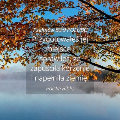 Picture 04 - Psalmów 80:9 POLUBG - Przygotowałeś jej miejsce i sprawiłeś, że - Bible Verse Picture
