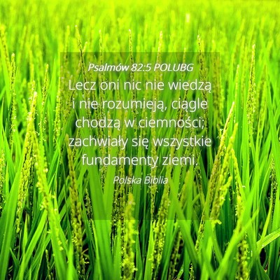 Picture 04 - Psalmów 82:5 POLUBG - Lecz oni nic nie wiedzą i nie rozumieją, - Bible Verse Picture
