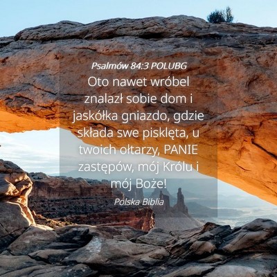 Picture 04 - Psalmów 84:3 POLUBG - Oto nawet wróbel znalazł sobie dom i jaskółka - Bible Verse Picture