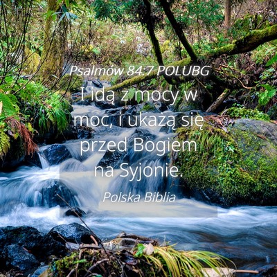 Picture 04 - Psalmów 84:7 POLUBG - I idą z mocy w moc, i ukażą się przed Bogiem - Bible Verse Picture